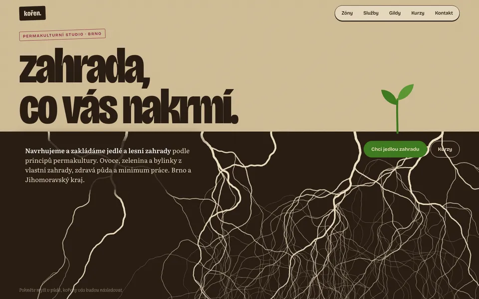 Designový koncept webu Kořen